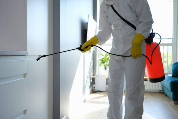 Best Mold Remediation  in Montrose, CO