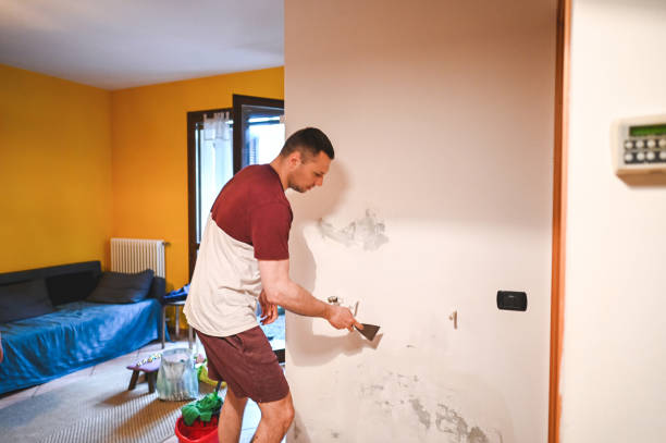 Best Black Mold Removal  in Montrose, CO